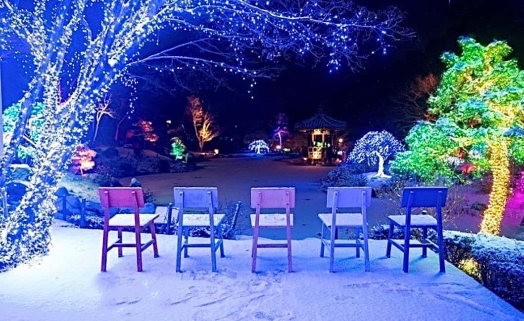 From Seoul: Hwacheon Ice Fishing and Lighting Festival Tour - Key Points You’ll Care About