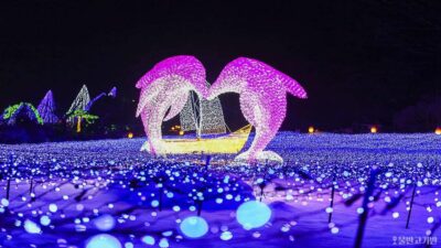From Seoul: Hwacheon Ice Fishing and Lighting Festival Tour - The Seoul-to-Hwacheon Bus Ride: Why It’s Long, and How to Use It