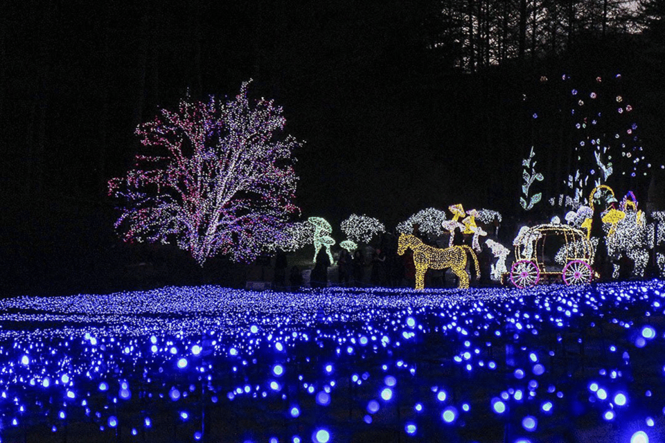From Seoul: Hwacheon Ice Fishing and Lighting Festival Tour - Food, Photos, and the Real Rhythm of the Day