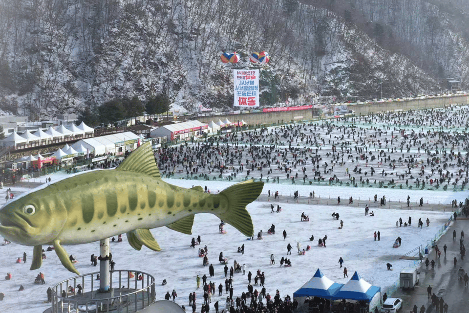 From Seoul: Hwacheon Ice Fishing and Lighting Festival Tour - Who This Tour Fits Best (And Who Should Think Twice)