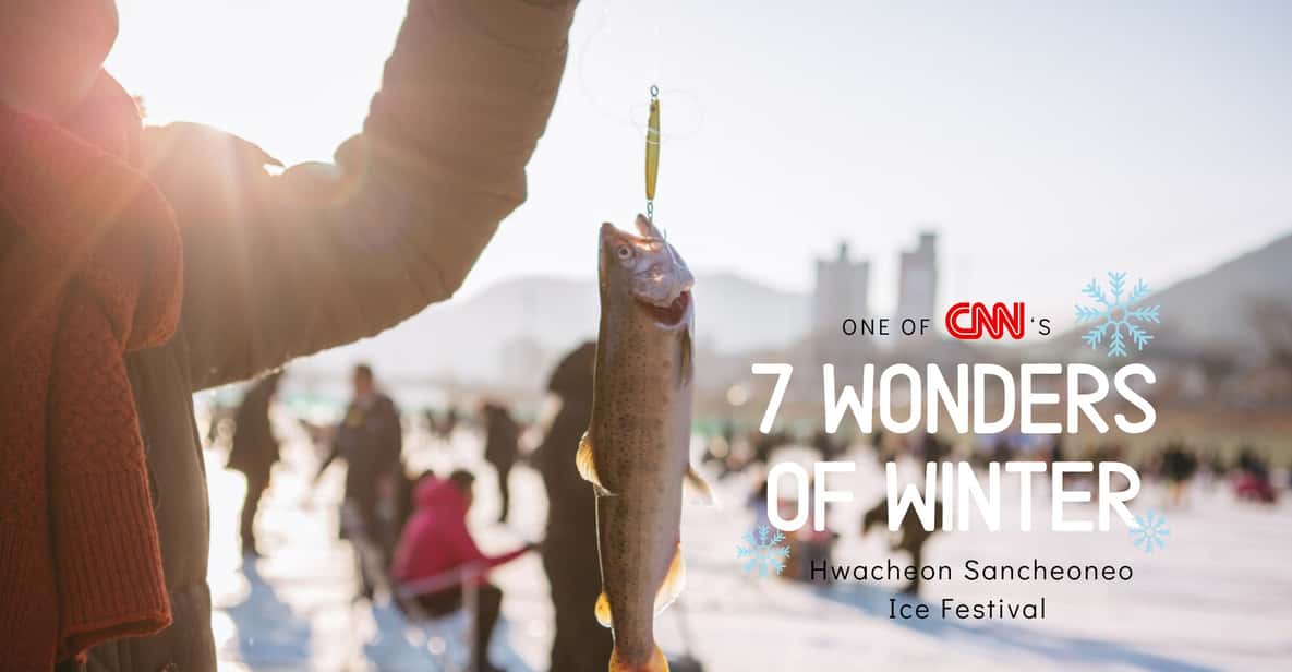 From Seoul: Hwacheon Ice Fishing and Lighting Festival Tour - My Decision Guide: Should You Book This Hwacheon + Morning Calm Tour?