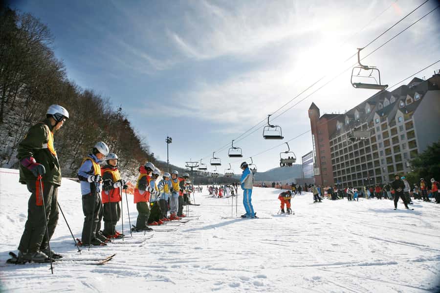 From Seoul: Korea Ski Tour - Jisan Forest Resort - Key things that make this Seoul ski tour work