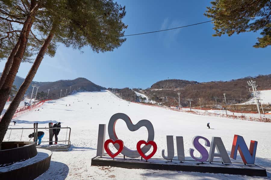 From Seoul: Korea Ski Tour - Jisan Forest Resort - After the 2-hour class: choosing how to spend your ski time