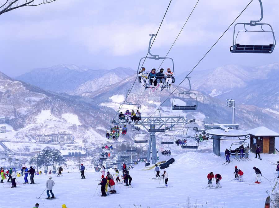 From Seoul: Korea Ski Tour - Jisan Forest Resort - Getting to the slopes: station exits, one shared ride, and a 1.5-hour drive