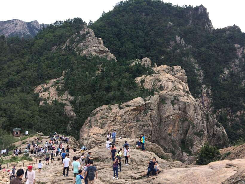 From Seoul: Korea Spring Cherry Blossom Day Tour - Seoraksan National Park time: choose your pace on the trails