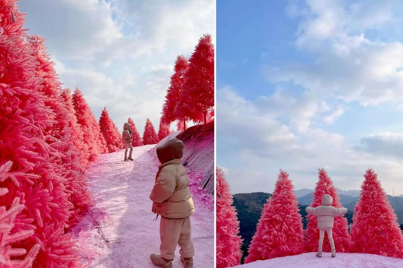 From Seoul: Pocheon, Sanjung Lake and Bidulginang Fall Trip - Quick Take: What You’ll Remember