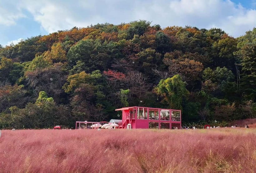 From Seoul: Pocheon, Sanjung Lake and Bidulginang Fall Trip - A one-day loop through Pocheon’s fall photo stops