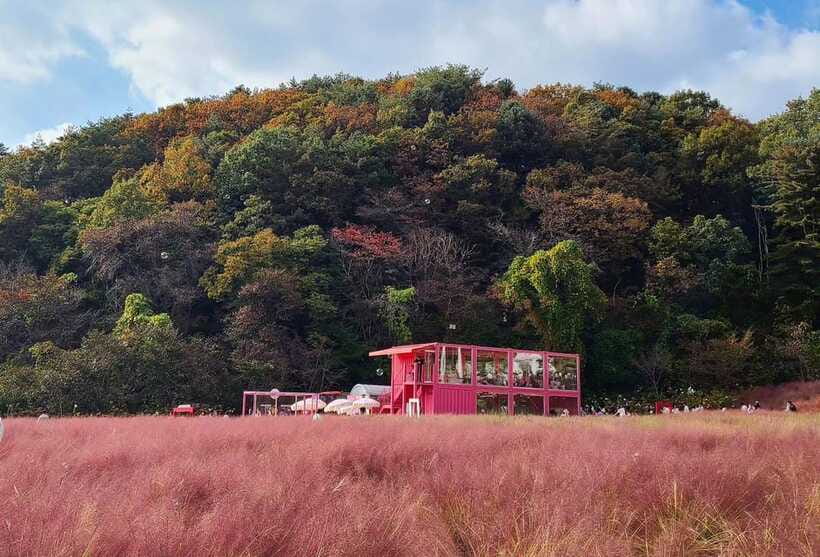 From Seoul: Pocheon, Sanjung Lake and Bidulginang Fall Trip - Bidulginang Water Falls: the filming-location drama
