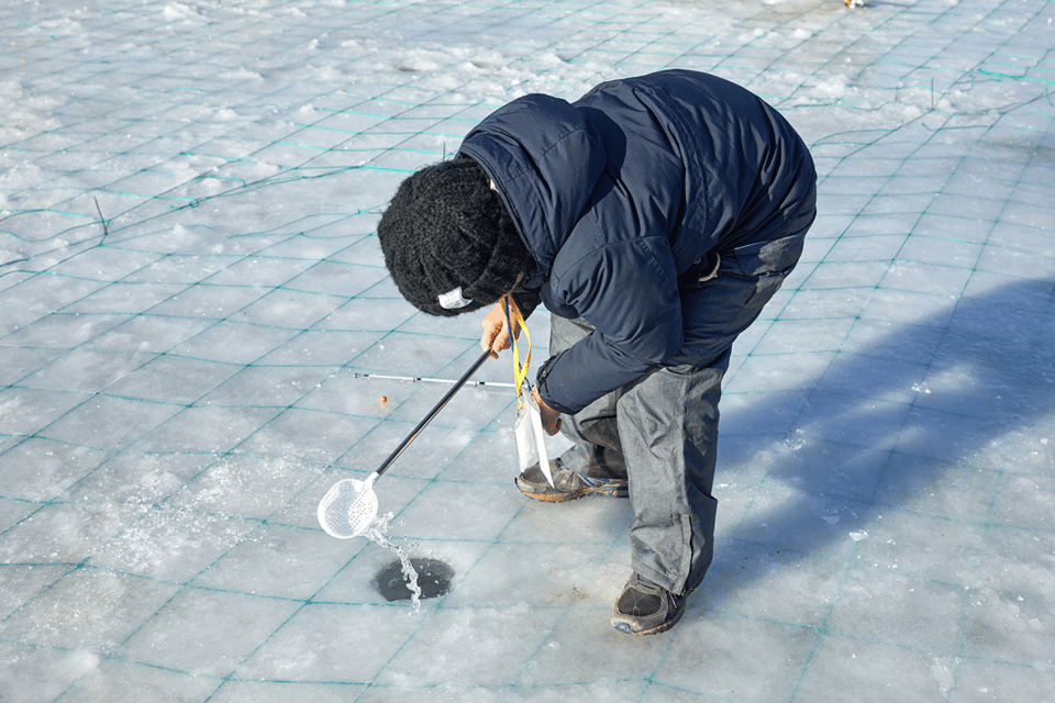 From Seoul: Pyeongchang Trout Festival - Who This Trip Fits Best (And Who Might Think Twice)