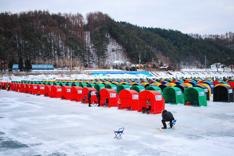 From Seoul: Pyeongchang Trout Festival - Important Rules That Save Headaches