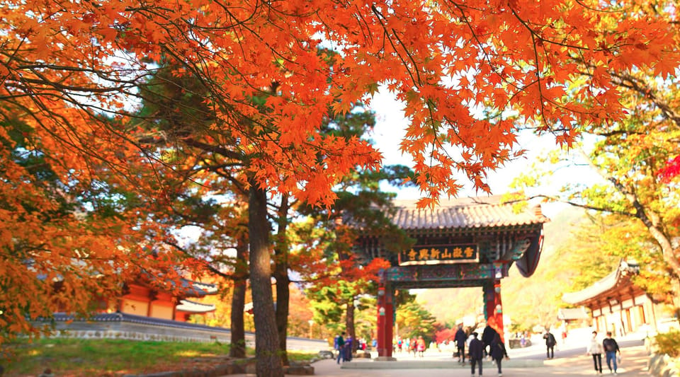 From Seoul: Seoraksan Mountain with Cable Car- Shuttle Bus - Key highlights worth knowing