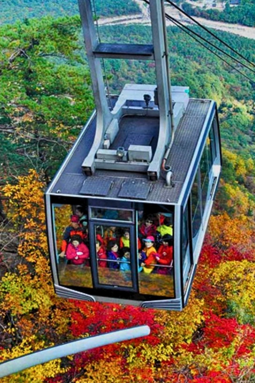 From Seoul: Seoraksan Mountain with Cable Car- Shuttle Bus - Who this Seoraksan day trip suits best
