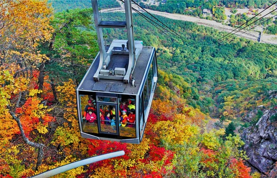 From Seoul: Seoraksan Mountain with Cable Car- Shuttle Bus - Sinheungsa Temple and the Gwaneumjeon bronze Buddha (14 meters)