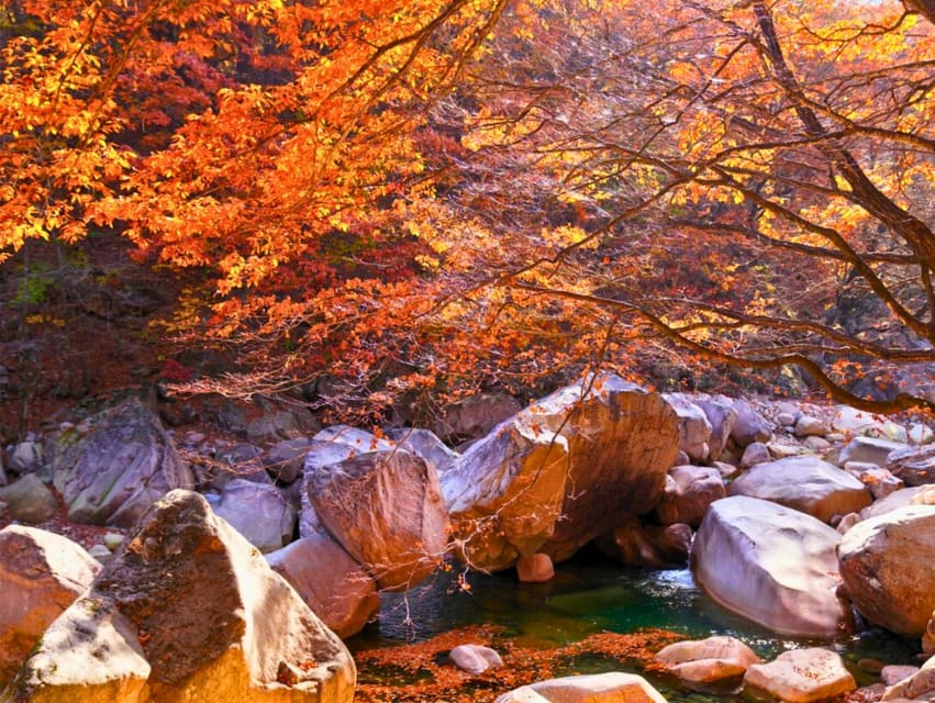From Seoul: Seoraksan Mountain with Cable Car- Shuttle Bus - Autumn leaf timing: October color, weather reality, and smart expectations