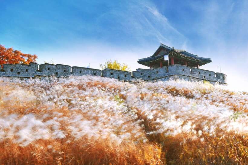 From Seoul: Suwon Hwaseong Fortress Tour - Hwaseong Haenggung: where the king paused on the road