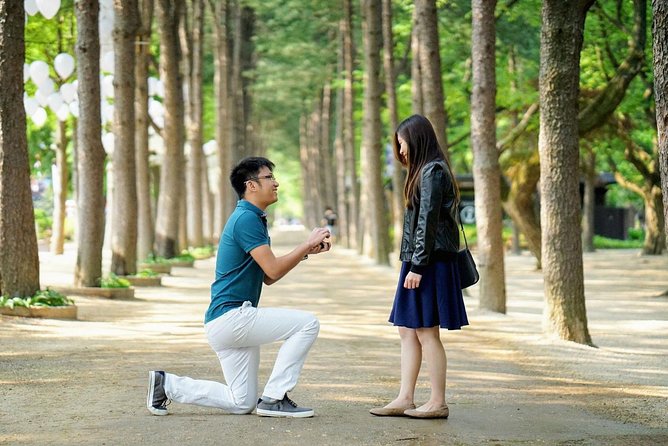 Full-Day Customizable Private Tour to Nami Island and surrounding Area - Key highlights worth planning around