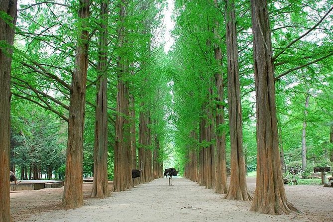 Full-Day Customizable Private Tour to Nami Island and surrounding Area - Strawberry farm picking plus Soyang River Sky Walk