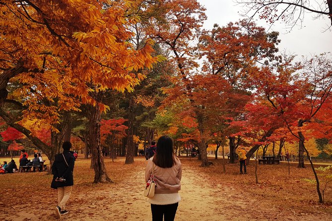 [ Full Day ] Nami Island & Petit France From Seoul - A 9-to-10-Hour Break That Actually Feels Manageable