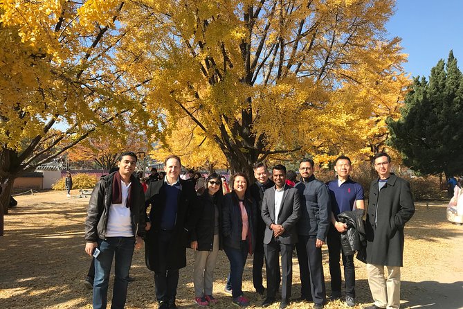 [ Full Day ] Nami Island & Petit France From Seoul - Petit France: A French-Inspired Village Stop That Works in 2 Hours