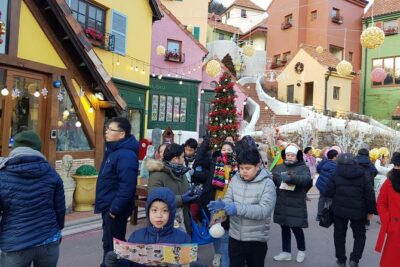 [ Full Day ] Nami Island & Petit France From Seoul - Pickup at 8:00 AM: Where Your Day Begins in Seoul