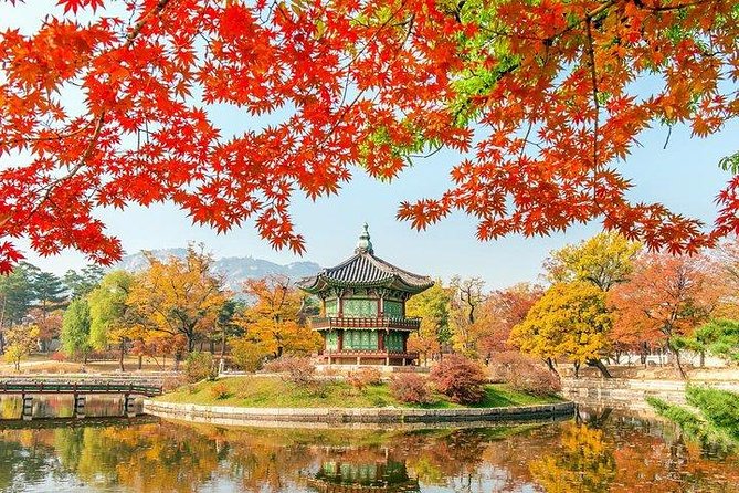 Full Day Private Seoul Tour for foodies - Seoraksan National Park: short hike energy and cable car views