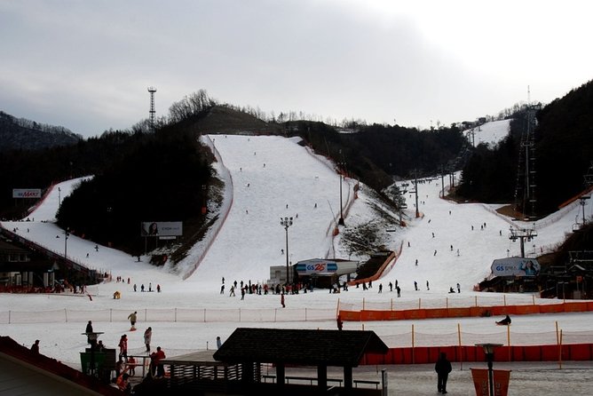 Gangchon Elysian Ski Day Trip from Seoul - Who should book this day trip (and who might not enjoy it)