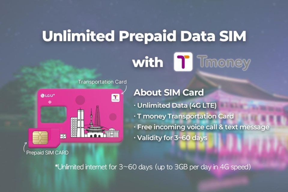 Gimpo Airport: Traveler SIM and T-money Transportation Card - What you actually pick up at the counter (and what to do first)