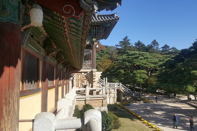 Gyeongju UNESCO Sites Tour by KTX train; The Museum Without walls - Gyeongju National Museum: the fast way to read the city