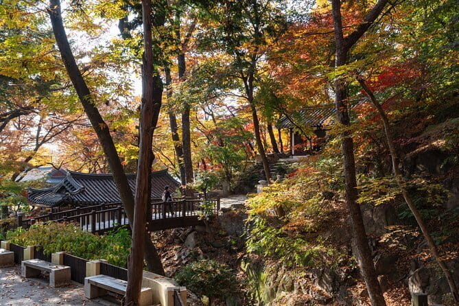 Hidden Stories & Flavors Market Food Tour - Why the guide’s stories land (division, military life, and modern Korea)