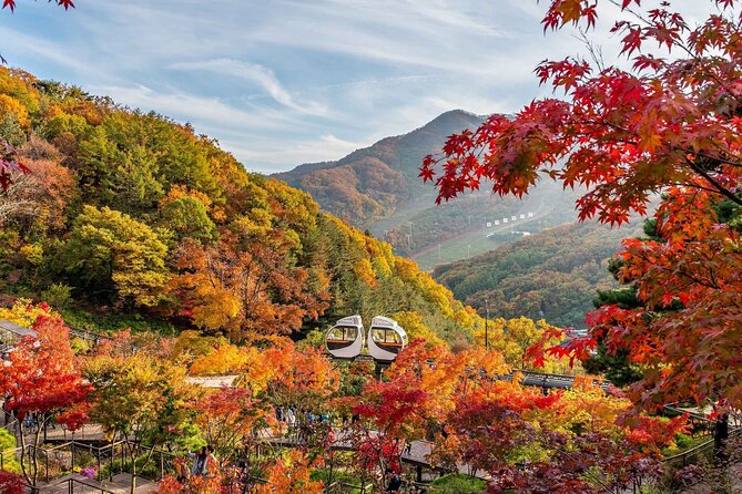Hwadam Botanic Garden and Namhansanseong and Folk Village Trip - Key Things You’ll Notice on This Tour