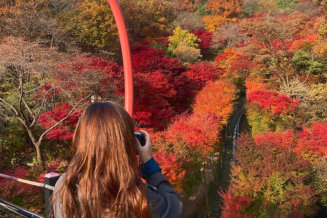 Hwadam Botanic Garden and Namhansanseong and Folk Village Trip - Why This Day Trip Feels Like the Best Mix of Seoul