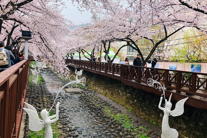 Jinhae Cherry Blossom + Busan Sunrise from Seoul - Night-to-Sunrise Plan: what to expect from the 19–20 hour schedule