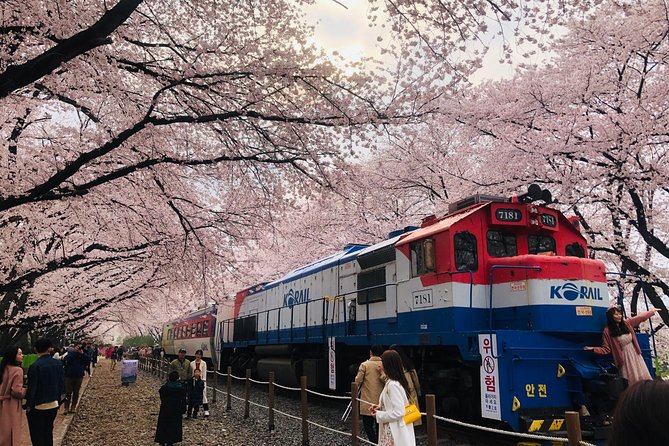 Jinhae Cherry Blossom + Busan Sunrise from Seoul - Dropping back in Seoul: Dongdaemun or Myeongdong, plus one transit shortcut