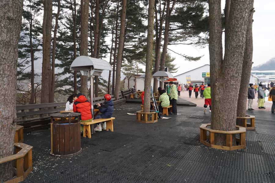 Jisan Forest Resort: Ski Full-Day Tour or Shuttle from Seoul - Should You Book Jisan Forest Ski Tour or Shuttle?