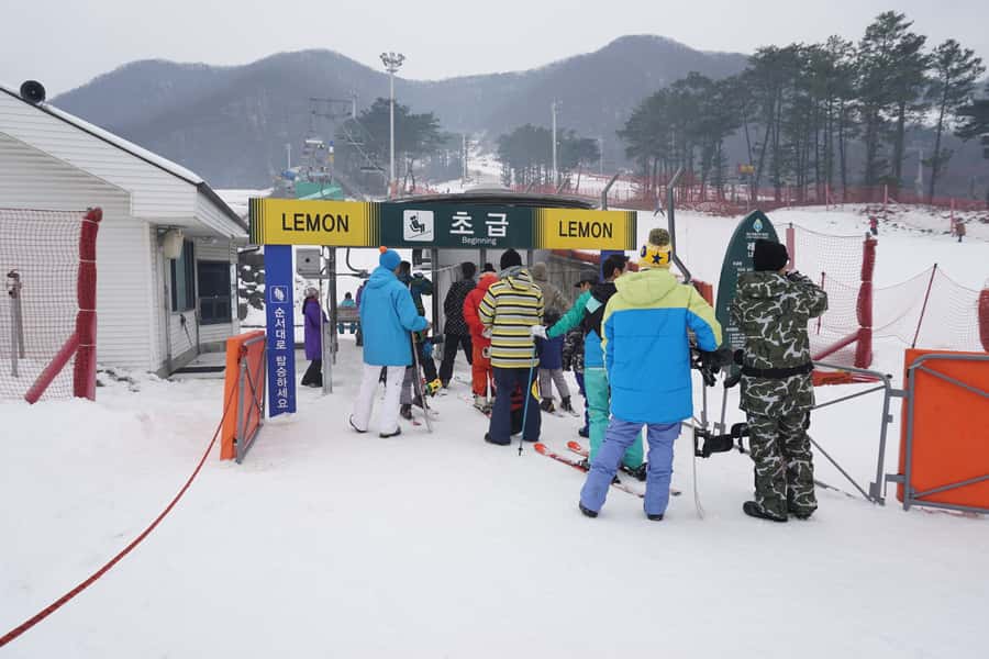 Jisan Forest Resort: Ski Full-Day Tour or Shuttle from Seoul - Coach Pickup and Getting There: The Smooth Part