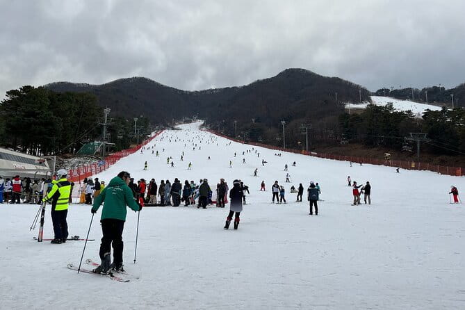Jisan Forest Ski Resort and Everland 1 Day Tour - Everland After the Cold: Panda World, T-Express, Zootopia, and Lost Valley