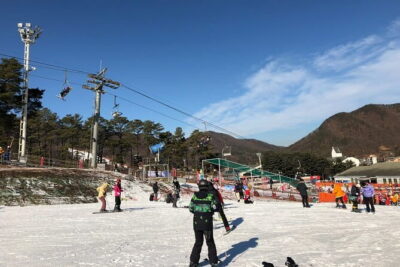 Jisan Forest Ski Resort and Everland 1 Day Tour - Jisan Forest Ski Resort: Slopes, Sunkid MovingWalk, and What Lessons Mean