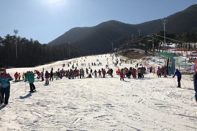 Jisan Ski One Day Tour - The 11 to 12 hour reality check (and why it’s still doable)