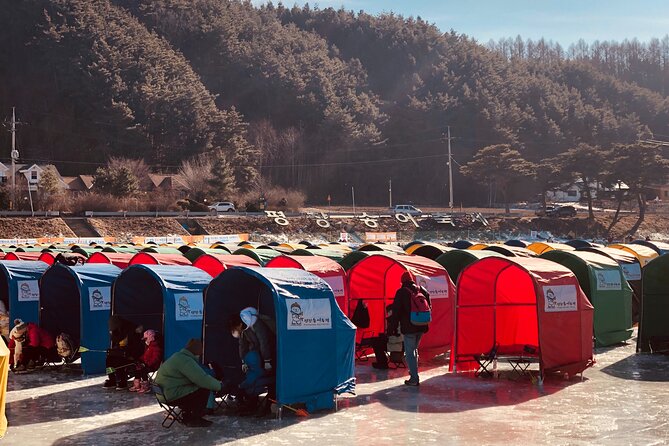 Korea Winter Ice Fishing Festival (Pyeongchang Trout Festival) - How the day actually flows: timing you can feel