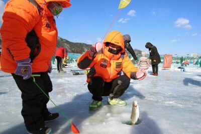 Korea Winter Ice Fishing Festival (Pyeongchang Trout Festival) - Pyeongchang Trout Festival: more than just fishing