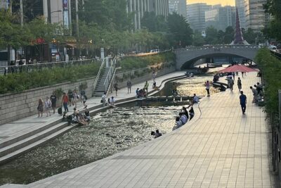 [KoreaByLocal] Authentic Seoul Night Walk and Chicken & Beer - Price and what’s included in the chimaek stop