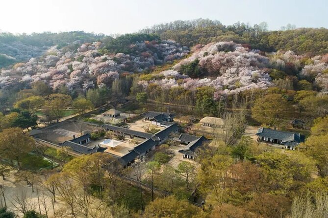 Korean Folk Village Afternoon Half day Tour - Professional English Guide: Why It Matters More Than You Think