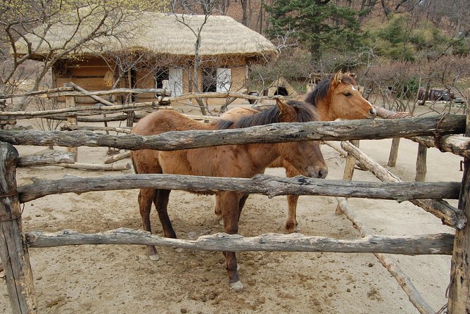 Korean Folk Village Afternoon Tour from Seoul - The performers: farmers’ music and folk dance with swirling movement