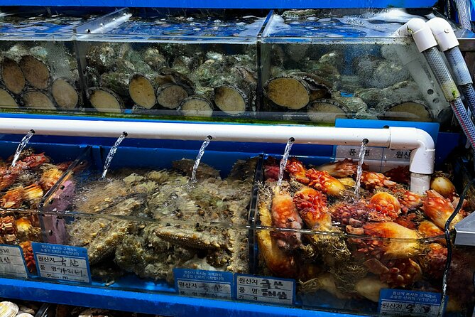 Korean Market Adventure with Chef Yie - Noryangjin Fish market - What to Know Before You Go (Hours, Group Size, and Crab)