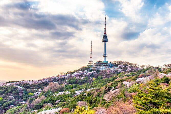Lee’s Private 4-hour Customized Seoul Tour - Temples, museums, and the War Memorial: mix by mood