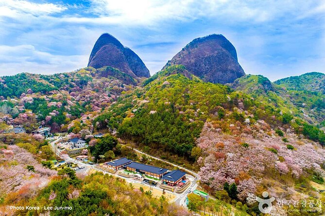 Maisan Cherry Blossom and Jeonju Hanok Village - Key Points I’d Prioritize Before You Book