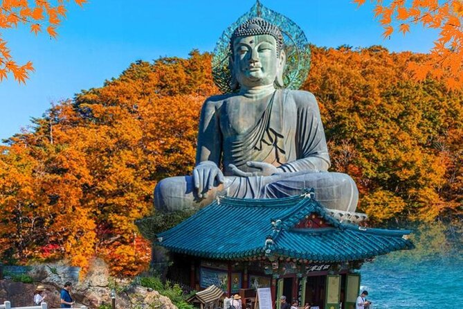 Mt.Seorak & Naksan Temple Day Trip from Seoul - A 12-hour east-coast escape from Seoul