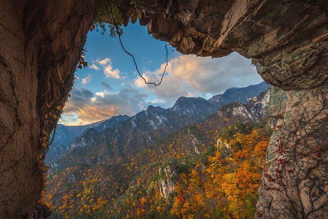 Mt.Seorak & Naksan Temple Day Trip from Seoul - Who this Mt. Seorak and Naksansa trip is best for
