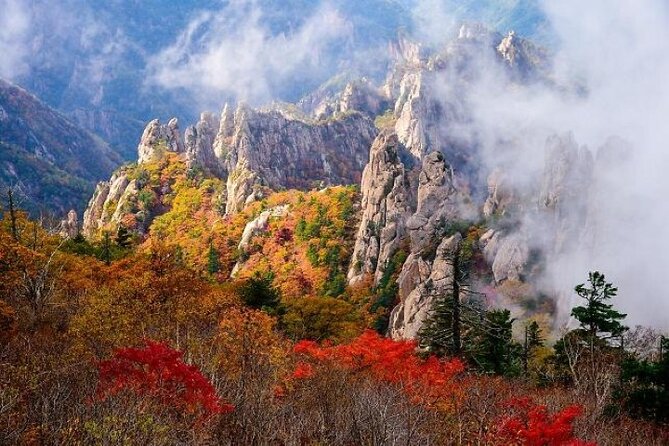 Mt.Seorak & Naksan Temple Day Trip from Seoul - Seoraksan National Park: timing, autumn views, and the walking reality
