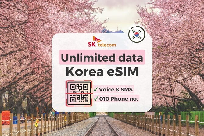 N Seoul Tower Observatory Ticket South Korea - Who this N Seoul Tower experience fits best